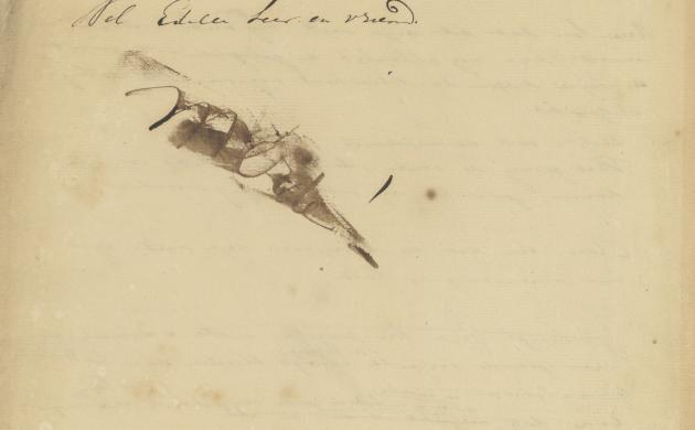 Hendrik Conscience, opdracht bij 'De Leeuw van Vlaenderen'